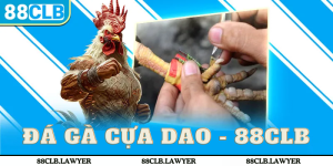 Gà Cựa Dao - Trải Nghiệm Đặc Sắc Kịch Tính Cùng 88CLB