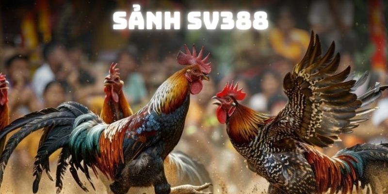 Đôi nét về sảnh SV388