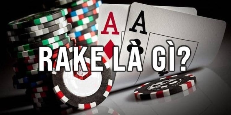 Khái niệm của Rake trong Poker